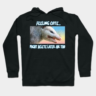 Feeling Cute, Might Delete Later - Funny Possum Design Hoodie